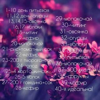 1 день питьевой 2 день