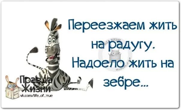 Счастливые люди в квартире. Она переехала жить. Кошка срет в мультиварку. Переезжаю прикол девушка. Когда живешь один и с девушкой.