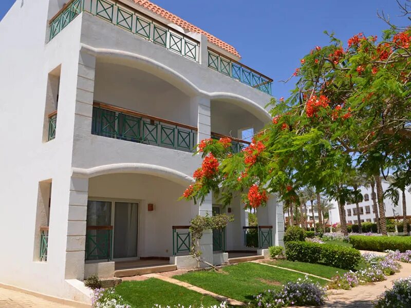 Cyrene Island Hotel 4*. Cyrene Hotel 4 Шарм-Эль-Шейх. Cyrene Island Hotel (ex. Aurora Sharm, Crystal Sharm, Cyrene Island). Cyrene Island Hotel (ex. Aurora Cyrene). 4*. Crystal sharm 4