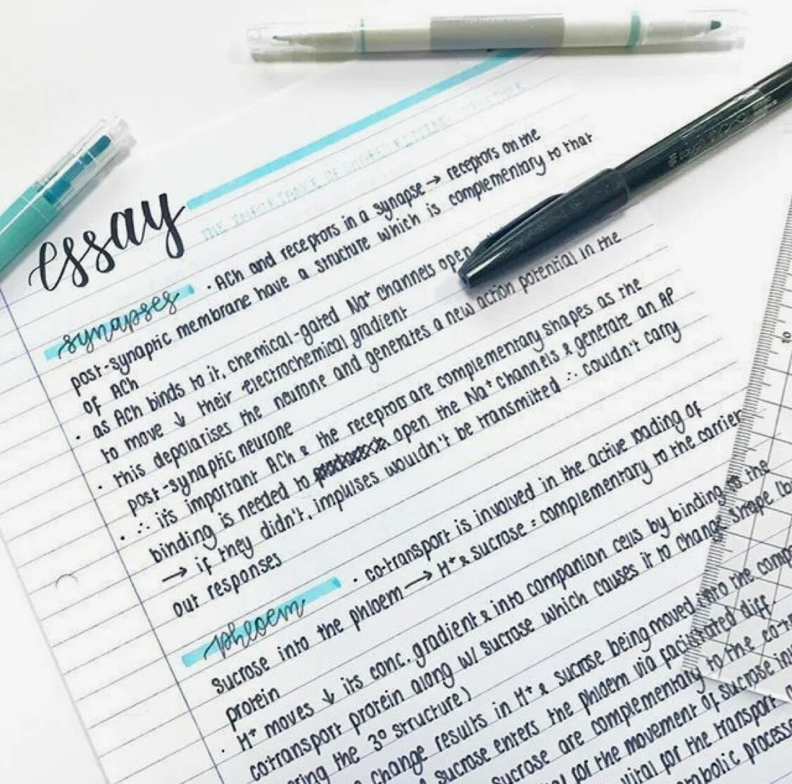 Write note. Handwriting aesthetic. writing notes. write a note. neat handwriting.