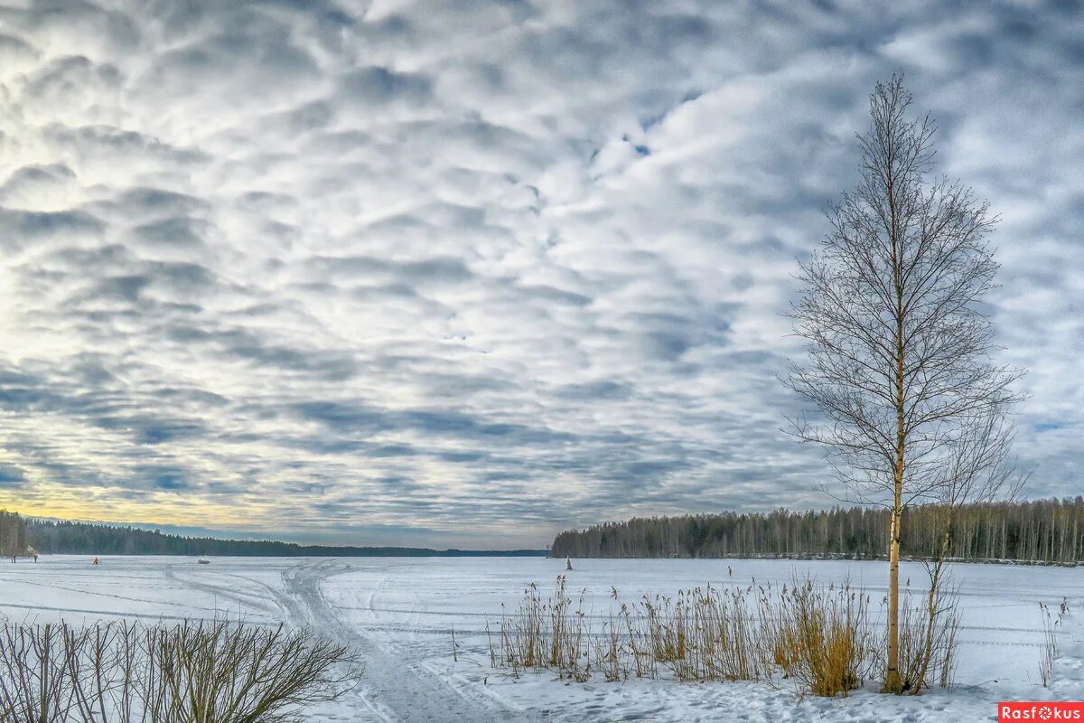 Река свирь. Как река волга изменяется зимой. Река изменяется в разные времена года. Подпорожье ленинградской гэс. Исток свири.