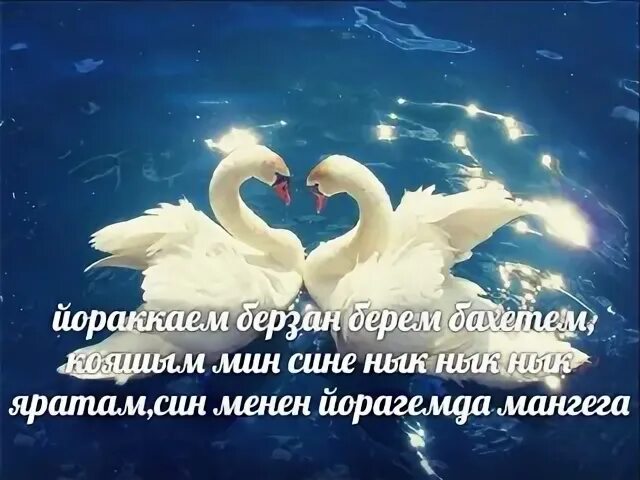Соям сине