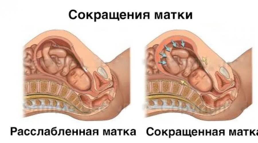 После Родов Во Время Секса