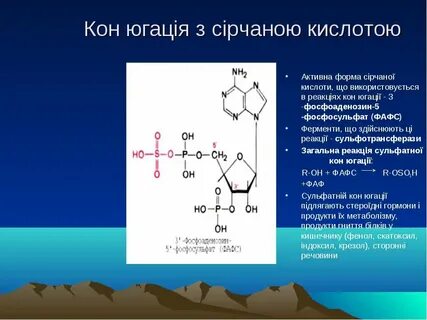 Активная форма вещества
