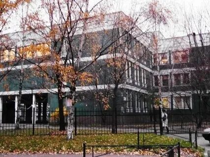 Школа номер 237