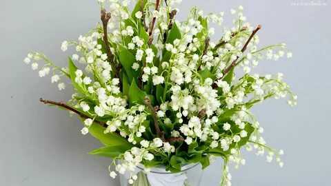 Ландыши ландыши первый букет