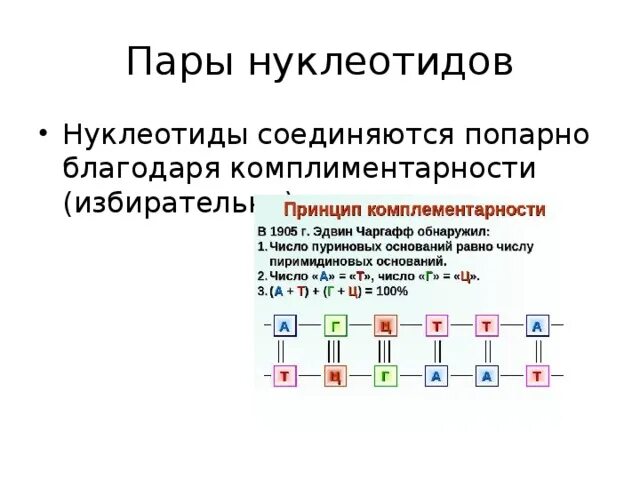 Виды связей в молекуле нуклеотида - Telegraph