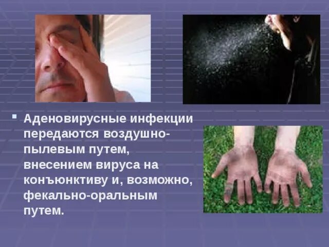 Воздушно пылевое заражение. Воздушно капельный путь передачи. Воздушно пылевое заражение. Воздушно пылевое заражение. Профилактика воздушно-пылевой инфекции.