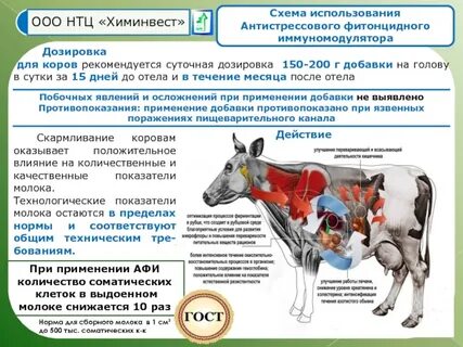 Клеточное молоко
