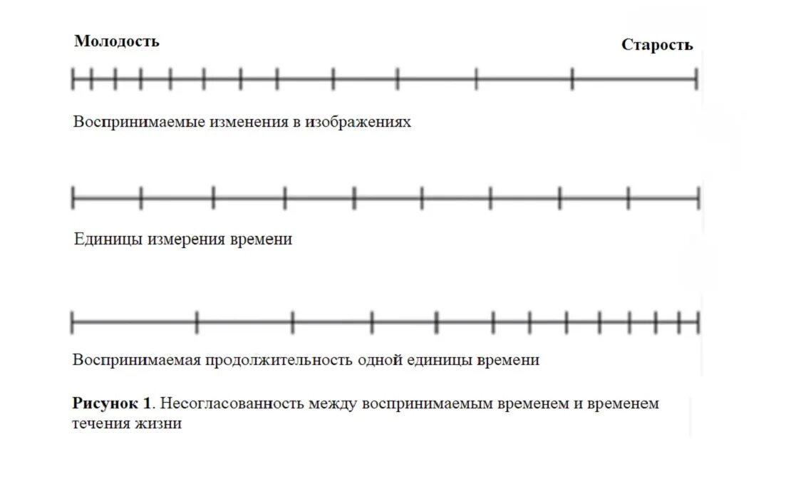 Время с возрастом течет быстрее график. График молодость и старость время и возможности. Формула как воспринимается время с возрастом. Почему с возрастом время течёт быстреее. Прибавить время к текущему времени