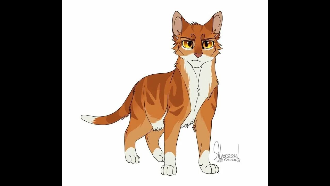 Громохвезд коты воители. Коты воители громозвезд. Громохвезд коты воители. Громохвезд коты воители. Коты воители громозвезд.