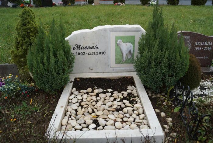 можно ли хоронить животное на своем участке