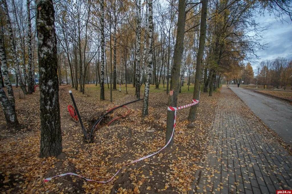 Дендропарк псков. Мирожский дендропарк. дендра парк псков. дендропарк псков спутник.