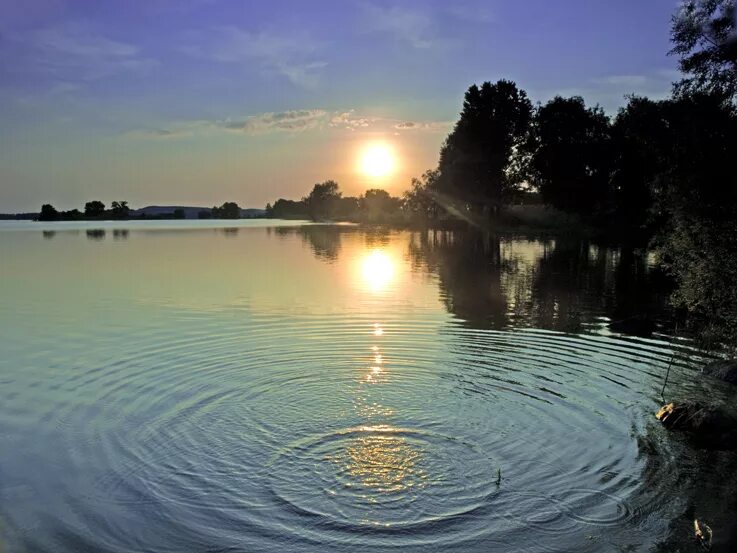 Луна распласталась на тихой воде. Круги на воде озеро. Вода озеро. Отражение солнца в воде. Тихая вода.