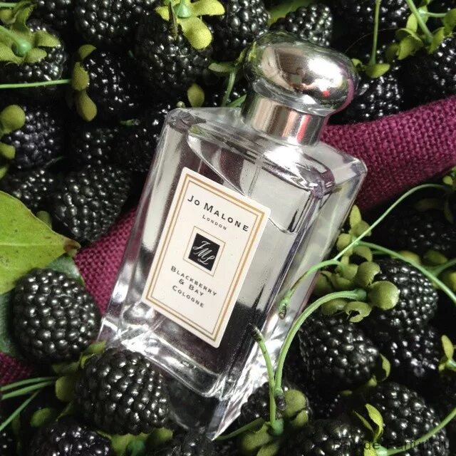 •jo malone blackberry&bay cologne 30ml. Ежевика джо малон 30 мл. Jo malone blackberry отзывы. Джо малон блэкберри бэй. Jo malone blackberry отзывы.