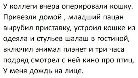 Рассказ до слез про жизнь