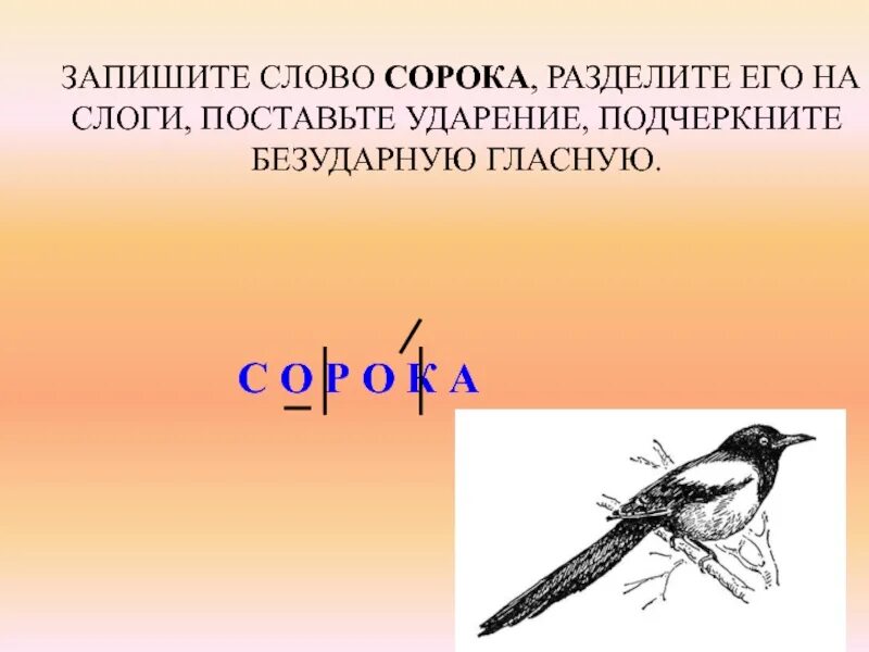 Схема слова 40. Сорока ударение. Слово и слог сорока. Сорока ударение в слове. Сорока звуковая схема.