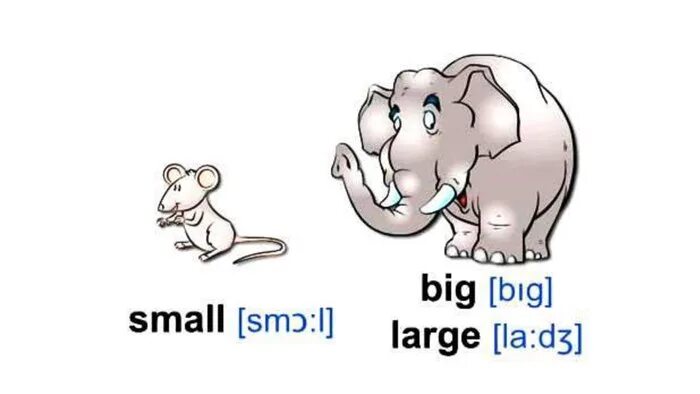 Большой маленький на английском языке. Карточки big small. Большой и маленький на английском для детей. Карточки на английском большой маленький. Small по английски