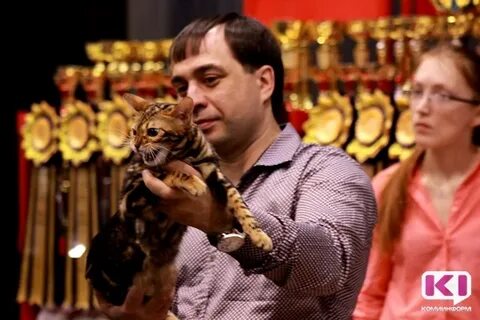 Выставка кошек тюмень