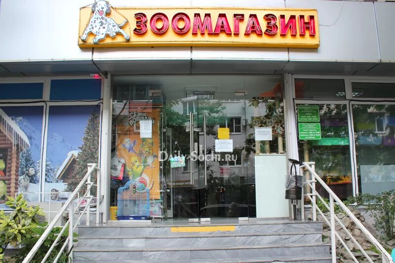 животный мир зоомагазин. зоомагазин веселый хвостик. зоомагазин с хвостом. зоомагазин премиум сочи. зоомагазин сочи.