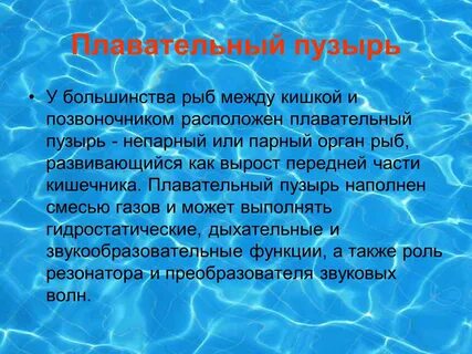 У кого есть плавательный пузырь