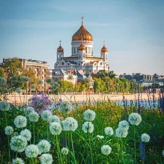 Утро лето москва