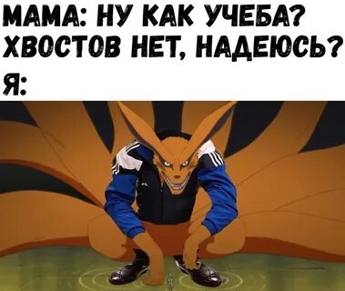 Студенческий хвост