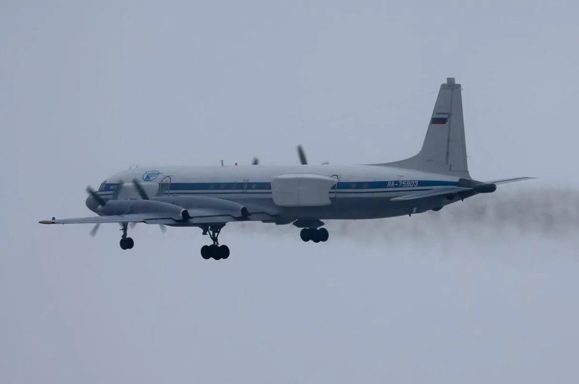 самолет ил-22 пп. самолет-постановщик помех ил-22пп "порубщик. рэб ил-22пп. самолет ил-22пп порубщик. ильюшин ил-22.