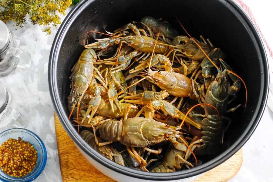 Популярные ракообразные для готовки. Boiled Crayfish. Вареные раки: польза и приготовление. Раков нужно варить