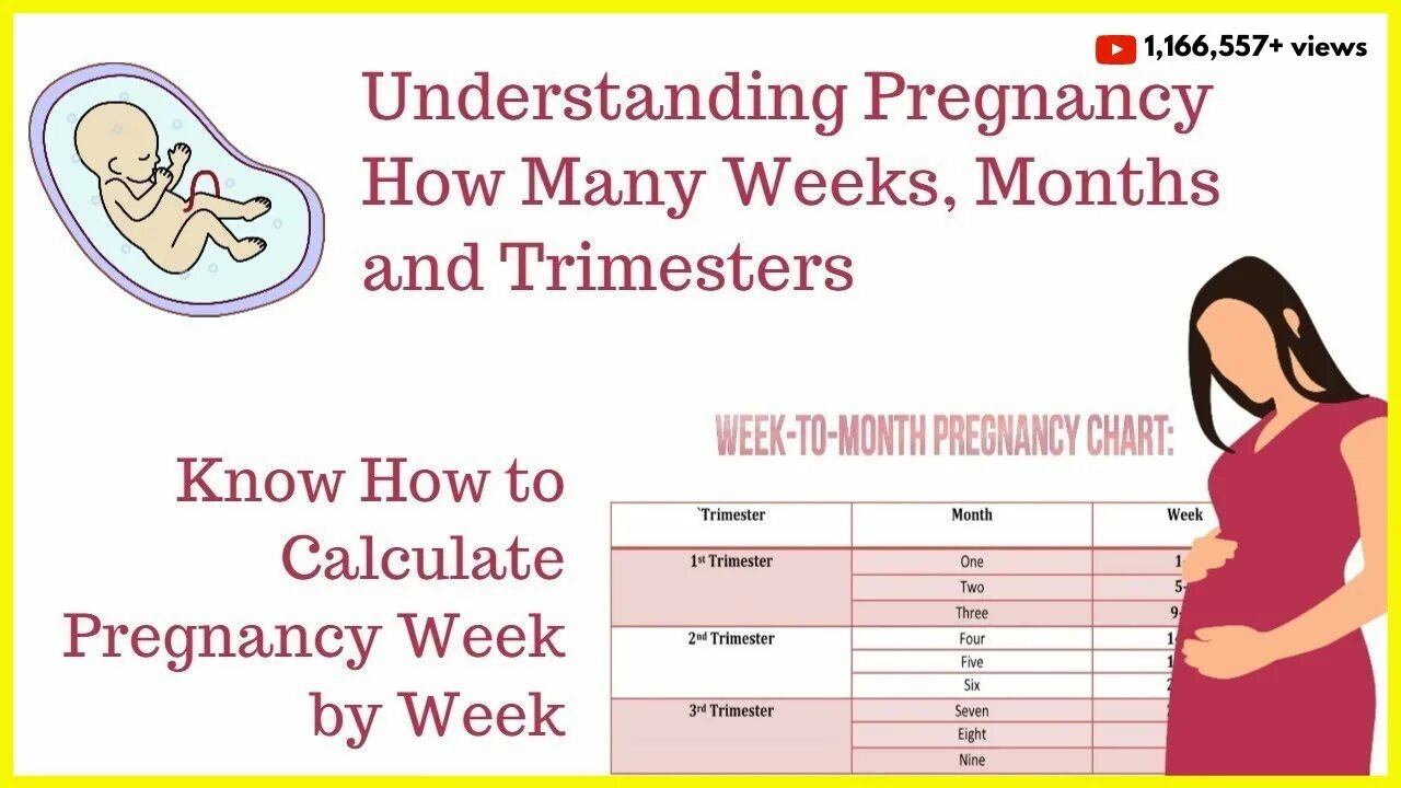 Pregnancy week by week. Week month pregnancy. Stages of pregnancy by weeks. 39 неделя какой месяц