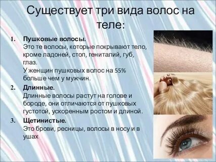 На какие волосы живу