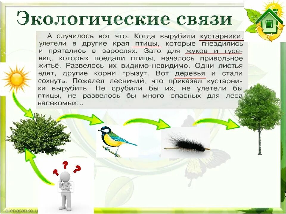 Экологические взаимосвязи. Примеры экологических связей. Невидимые нити 2 класс. Невидимые нити 2 класс окружающий мир. 3 примера экологии