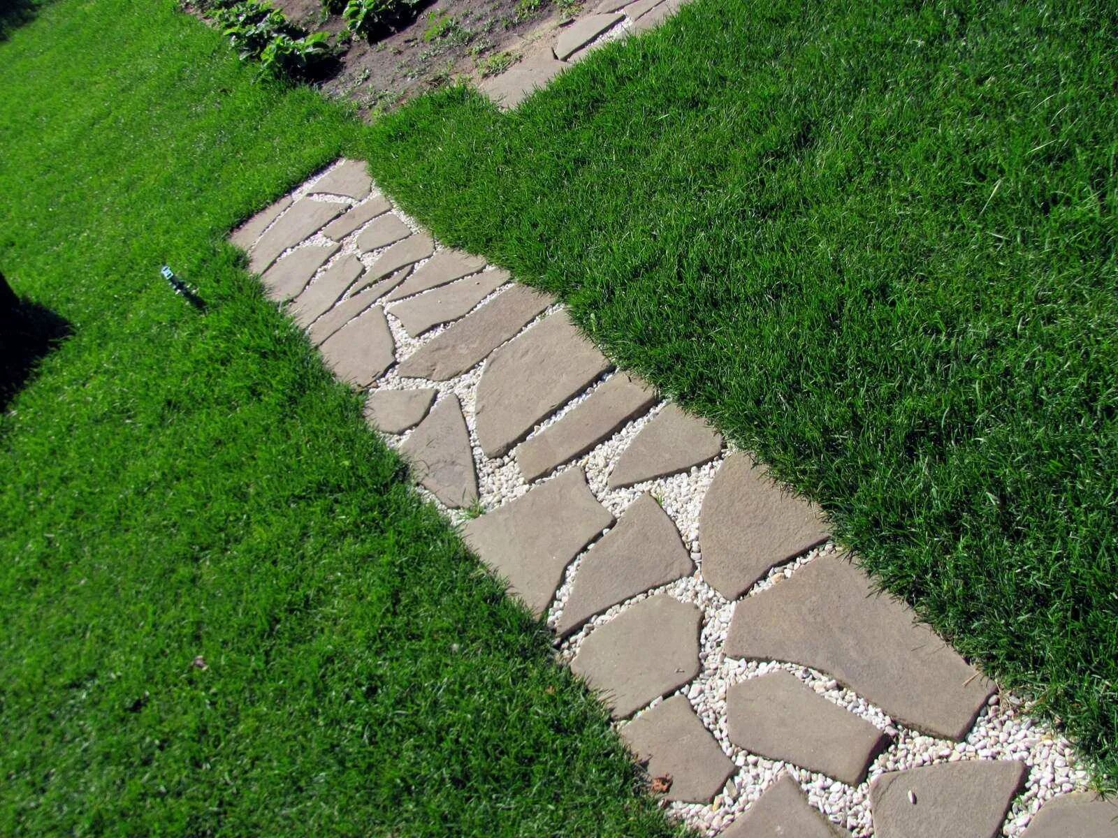 Дорожка извилистая из декинга. Разбить на дорожки. Идеи для сада ландшафтный дизайн. Разбить на дорожки. Дорожки на участке.