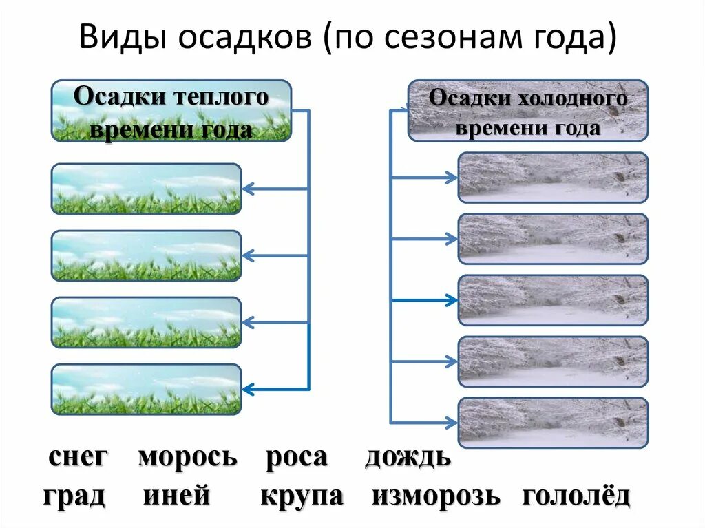 Осадки 5 класс. Виды осадков. Атмосферные осадки виды. Виды атмосферных осадков. Вид твердых атмосферных осадков.