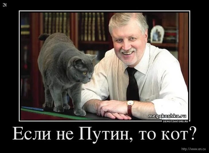 Если не он то кот. Если не он то кот
