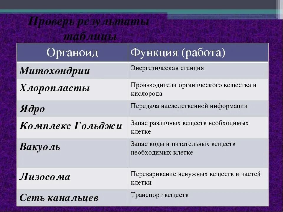 Выполняемые функции особенности. Название органоида особенности строения функции таблица. органоиды клетки строение и функции таблица. строение клетки: основные органоиды, их строение и функции. таблица по биологии 5 класс органоиды клетки и их функции.