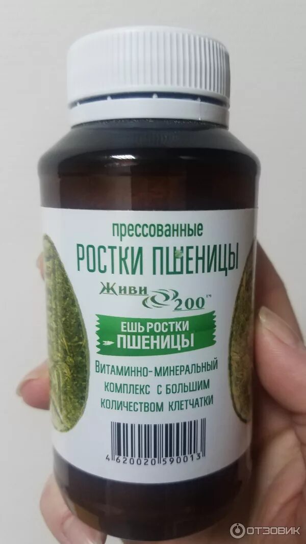 Живи 200 отзывы. Таблетки живи. Ростки пшеницы прессованные живи. Живи 200 ростки пшеницы в таблетках. Ростки пшеницы прессованные.