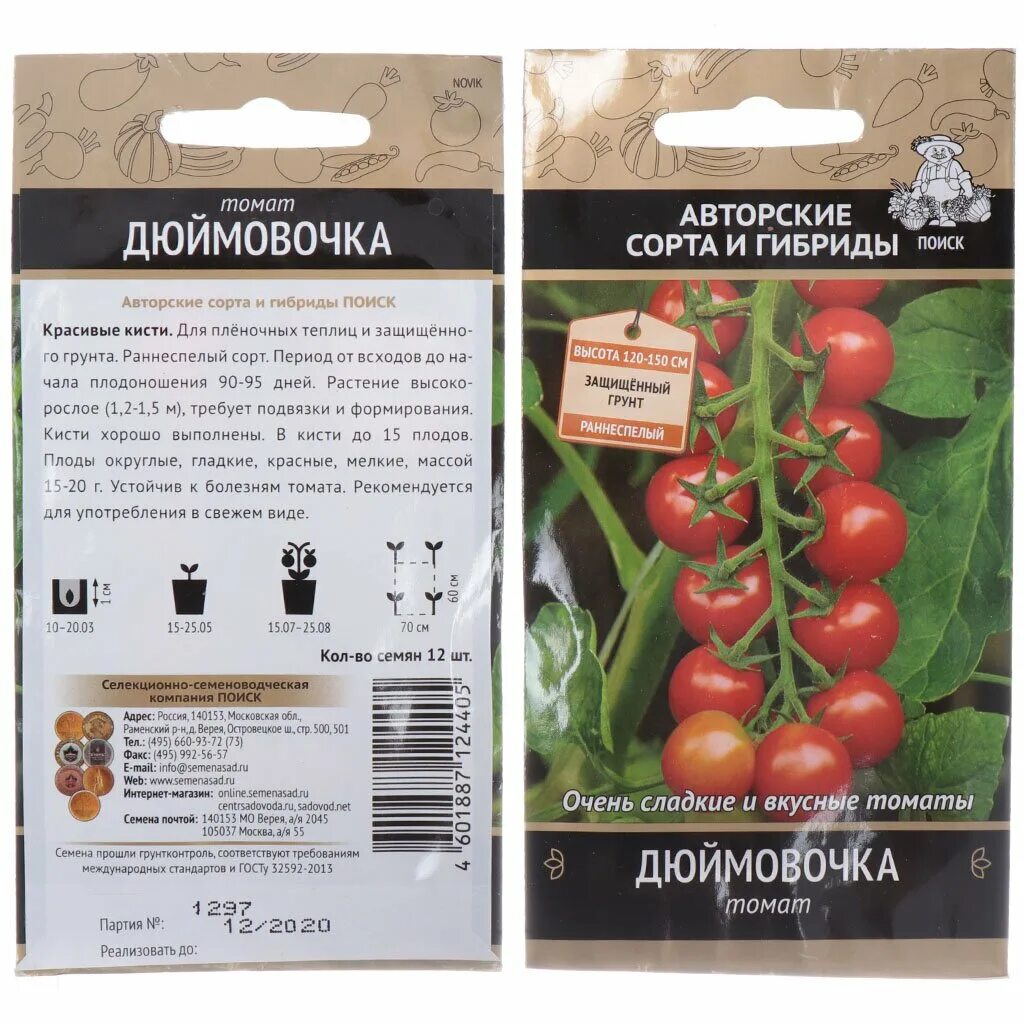 Дюймовочка сорт помидор. Помидоры дюймовочка. Дюймовочка сорт помидор. Томат сорт дюймовочка. Томат черри дюймовочка.