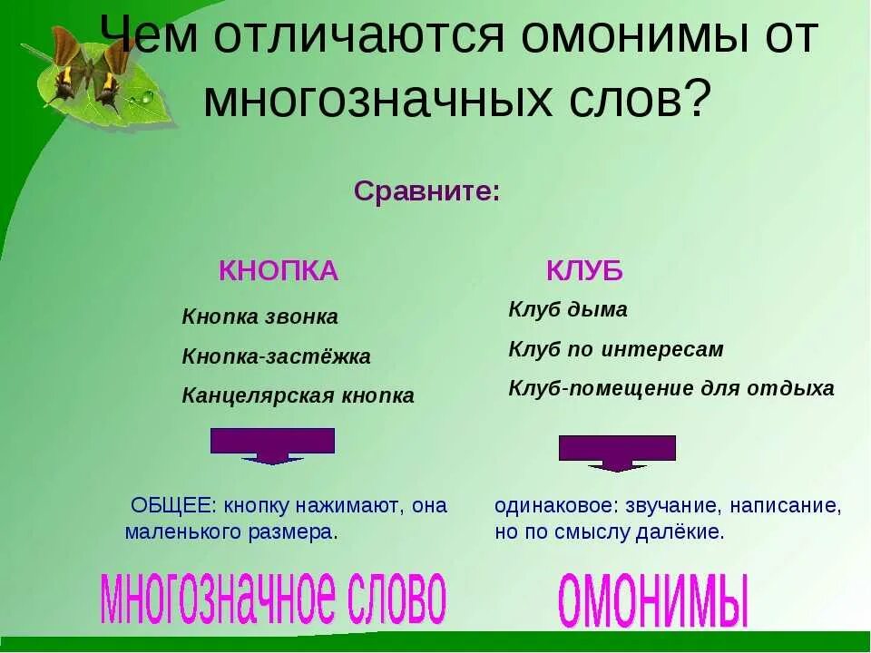 Чем отличаются многозначные слова. Многозначныеслова и омонимв. Отличие омонимов от многозначных слов. Омонимы и многозначные слова. Омонимы и многозначные слова примеры.