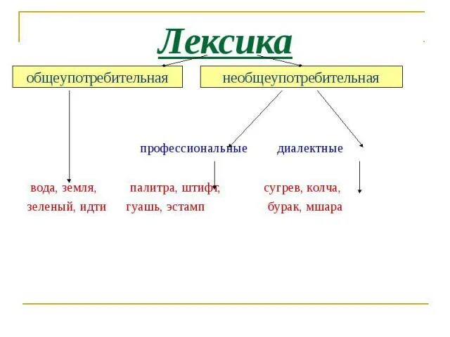 Общеупотребительная лексема примеры. Общеупотребительные и необщеупотребительные лексика. Общеупотребительная лексика примеры. Лексика профессиональная лексика. Лексика образец