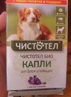 Чистотел био капли инструкция