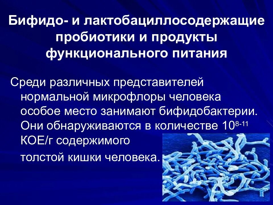 Какие бифидобактерии. Пробиотики лактобактерии и бифидобактерии. Бифидобактерии толстой кишки. Бифидобактерии толстой кишки синтезируют. Бифидобактерии для кишечника.