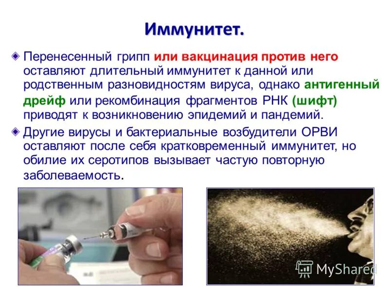 Иммунитет после вируса гриппа. Вирус гриппа иммунитет. Эпитоп это микробиология. Вирус гриппа иммунитет. Жизненный цикл коронавируса.