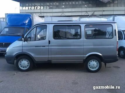 Чем отличается соболь