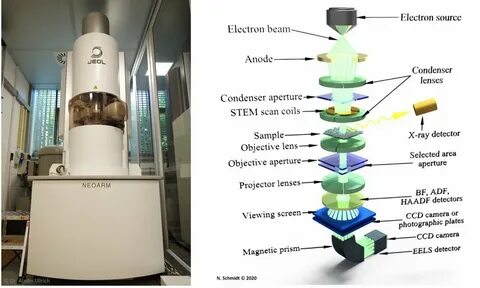 Transmission microscopy