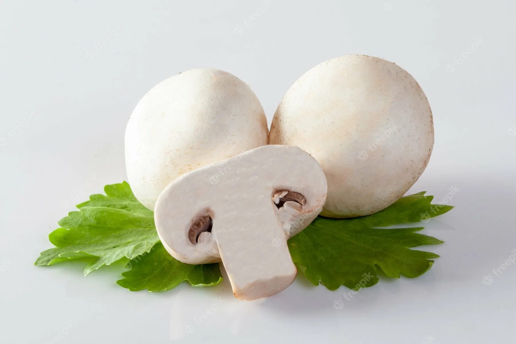 Грибочки шампиньоны. Шампиньоны крупные. Сон собирать грибы шампиньоны. Сон собирать грибы шампиньоны. Грибы шампиньоны королевские.