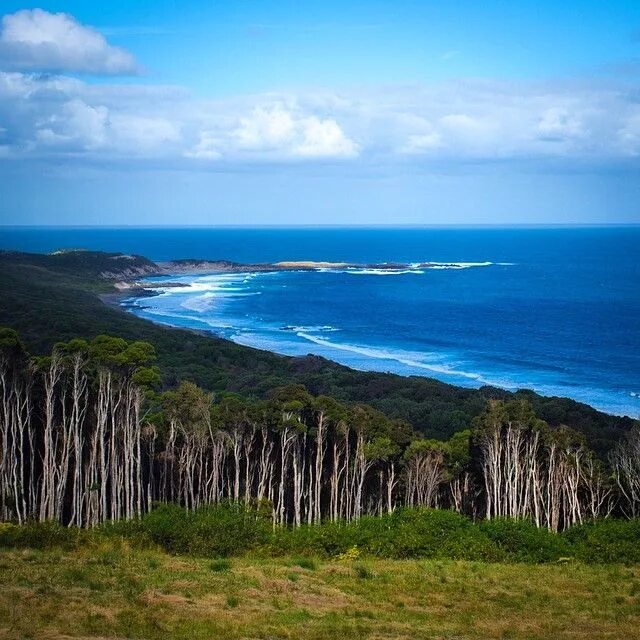 остров тасмания австралия. остров тасмания в австралии. остров тасмания и тасманово море. остров тасмания хобарт. национальный парк фрейсине тасмания.