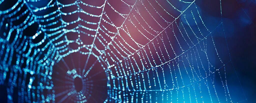 Trading spider
