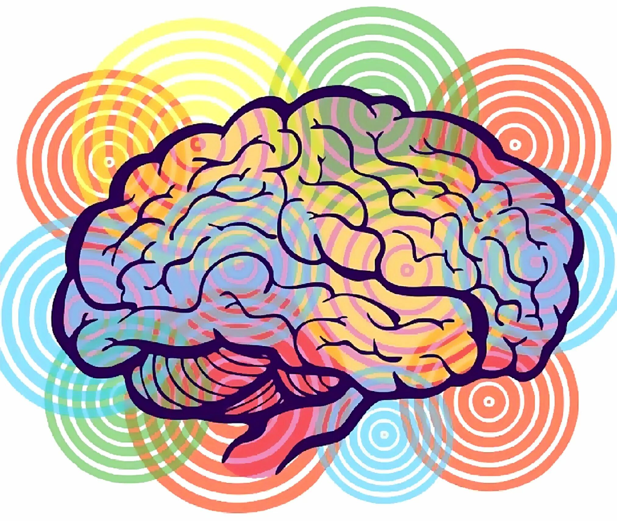 Мозг картинки для презентации. Креативный мозг. Разноцветный мозг. Мозг арт.