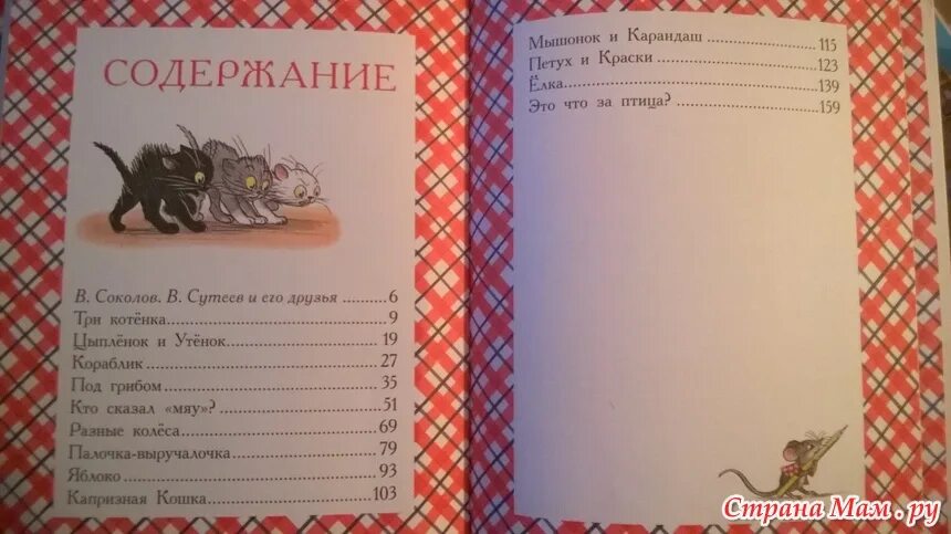 Содержание мышей. Содержание мышей